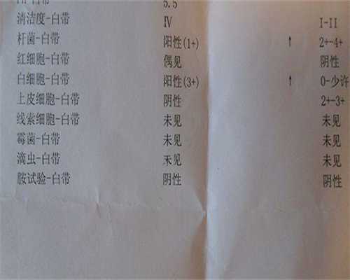 一代代生孩子收费多少可不可以养囊胚？高成功率背后的风险可不小得慎重