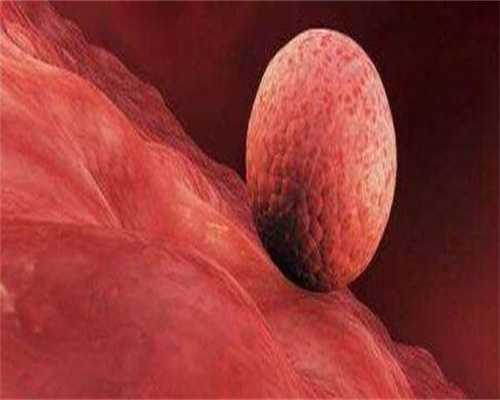 代孕哪个正规,什么是先天性无子宫