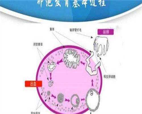 借卵代孕协会_供卵试管代孕流程,冻胚移植5天着床会刺痛吗？
