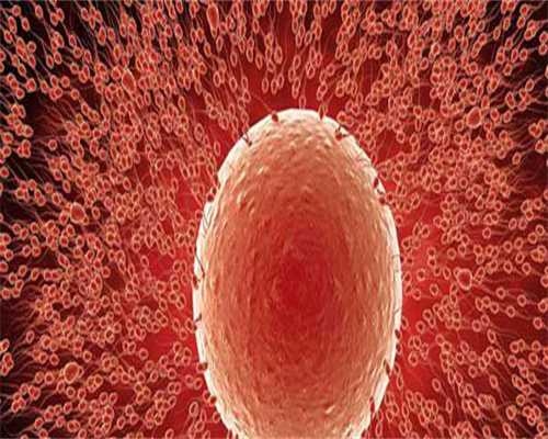 有帮着代孕的&国内代怀生子,已婚女梦见蟒蛇好坏都有，缠身、追自己意思不同