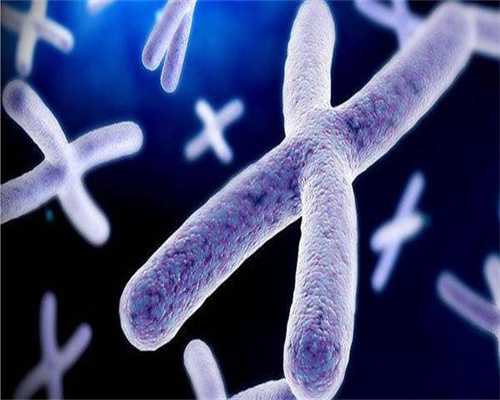 卵巢上举做试管婴儿的影响？