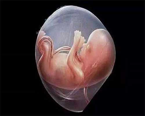 试管代孕都要注意什么事项_代孕qq群有吗,
              紧急避孕药和短效避孕药