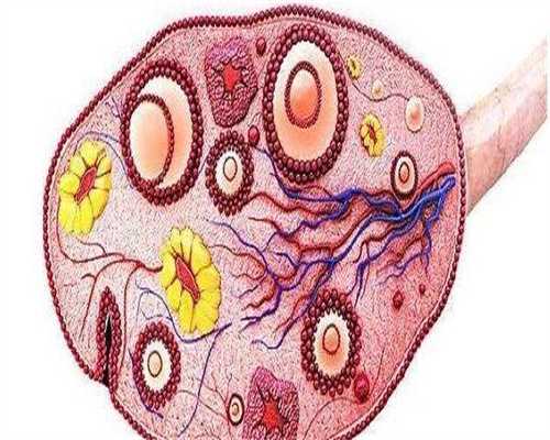借卵代孕能接受吗,除了不孕不育患者，内附条件标准！