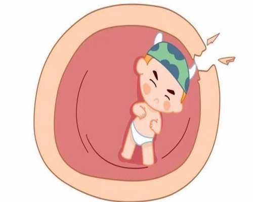 供卵价钱表-降调后卵泡3mm可不可以促排？