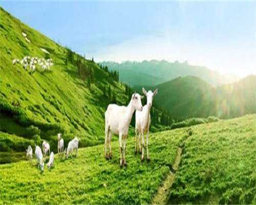 全国双胞胎供卵试管医院成功率排名？附详细介绍？