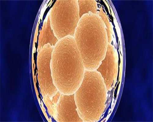 哈萨克斯坦代生儿子官网攻略附代生儿子官网流程，一代代生儿子官网价格！