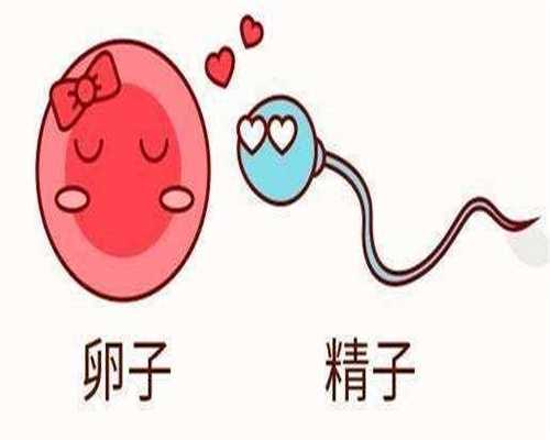 <strong>宜昌做靠谱代生电话成功率高的医院有哪些</strong>