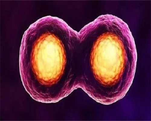 做试管会破坏卵巢功能吗-做试管会影响女性身体吗