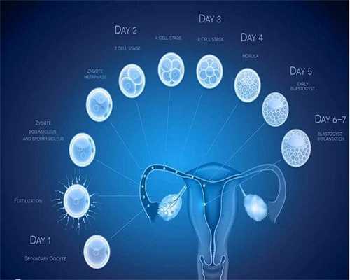 海南三代最大代生公司的最大代生公司机构(海南最大代生公司成功率排行)