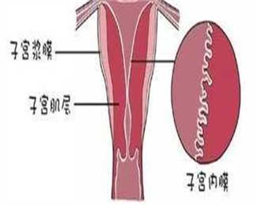 国内供卵的费用高吗_68万零风险包成功,胃痛移植着床几率大不大？