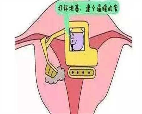 马来西亚第二代供卵代怀代生费用曝光(马来西亚供卵代怀代生移植)