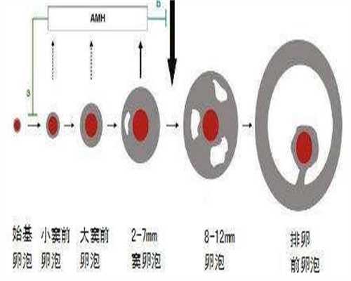 有哪些正规代孕公司_专业的代孕网站,供精做试管一般用一代还是二代技术