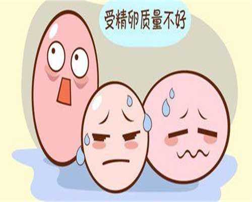 双助孕胎试管费用明细表,附长春试管费用