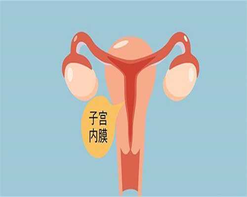 做试管吃什么蔬菜恢复卵巢 做试管吃什么蔬菜恢复卵巢好