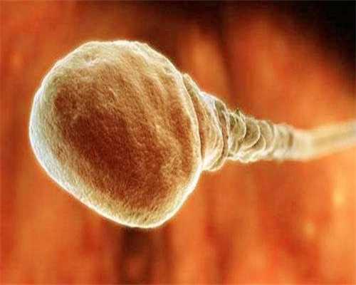 代生孩子流程-未婚女性可以做试管婴儿吗？合法吗？