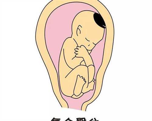 国家*库可以申请供精吗(申请供精二代借卵做试管代生方法)