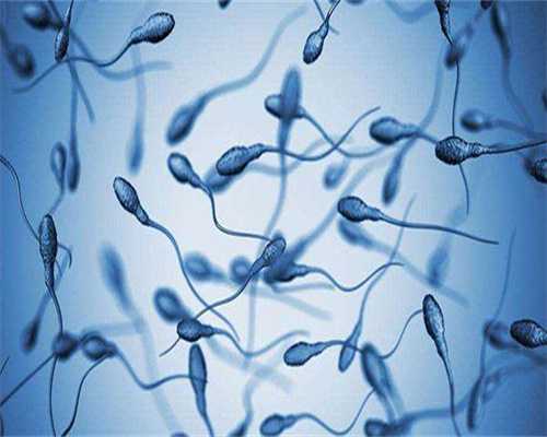 女性用ppos方案促排更容易成功吗