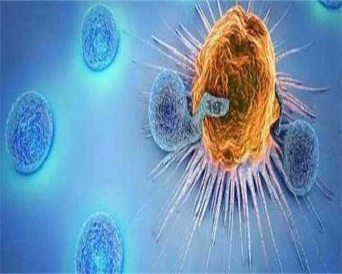 做试管一边卵巢2个卵泡