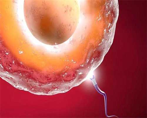 杭州代生孩子流程价格表来了，值得信赖吗？