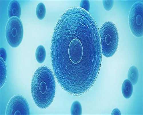 女性盆腔炎影响做试管吗_盆腔炎影响做试管吗