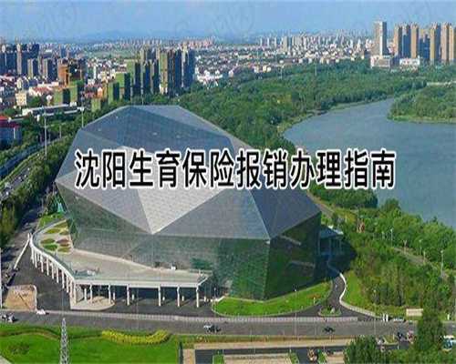 移植后二超胎停概率