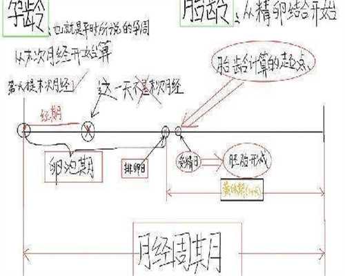二代试管各环节费用(二代试管各环节费用对比)